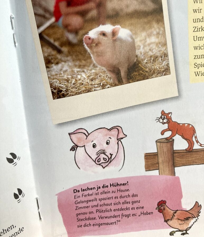 Schwein Illustration Tiere Bauernhof in Kinderbroschüre