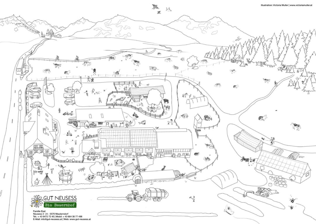 Ausmalbild BIO-Bauernhof Gut Neuseß
