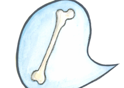Illustration von einem Oberschenkelknochen für Kinder